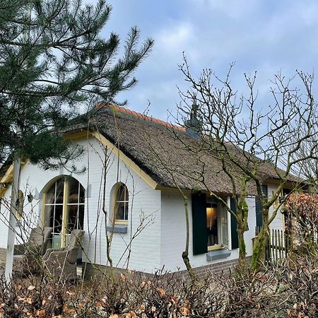 Willa Royal Veluwe Putten Zewnętrze zdjęcie
